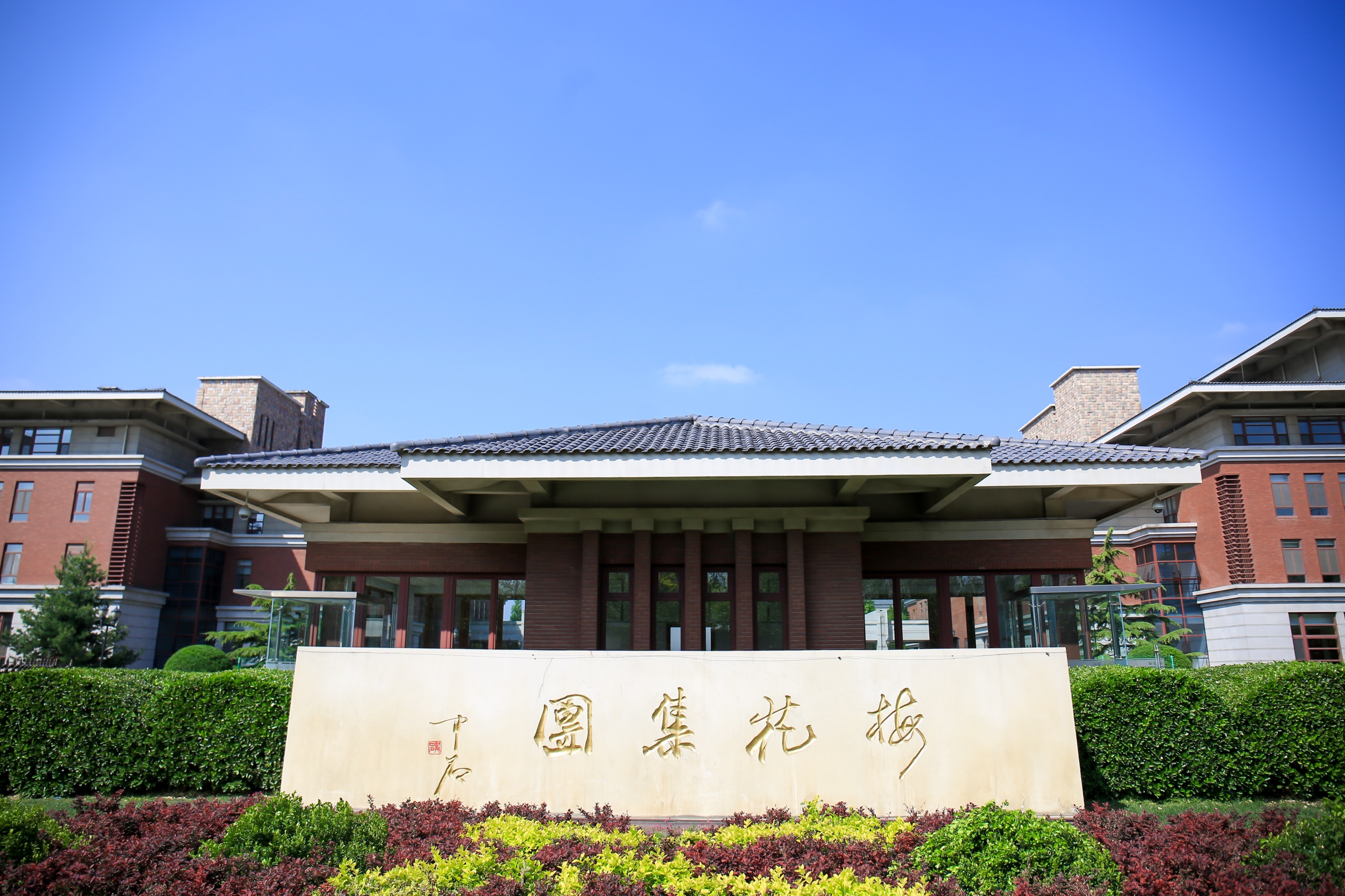 555.jpg